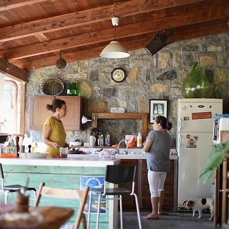 B&B Casa Dei Nonni Scario Exteriör bild