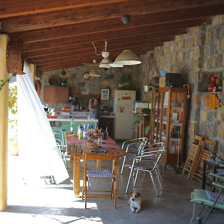 B&B Casa Dei Nonni Scario Exteriör bild